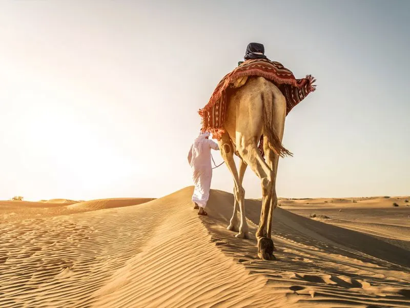 Lendas do Egito, Arábia Saudita e Dubai